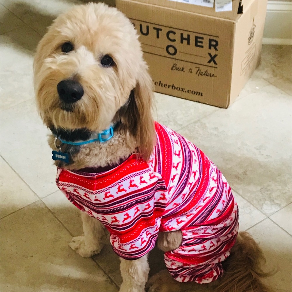Meet your Posher, Caleb